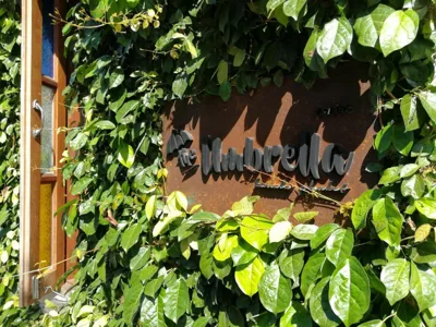 The Umbrella House – 사진 9